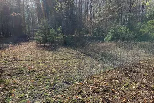 17871 3 Mile, Hersey, MI 49639 - Photo 26