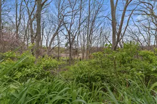 2037 Lake View Dr, Brooklyn, MI 49230 - Photo 50