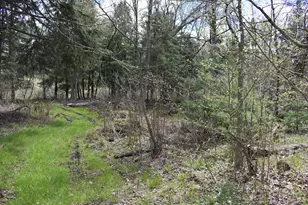 2263 W Riverbend Trl, Baldwin, MI 49304 - Photo 28