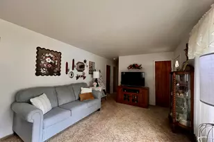 6596 W Virnetta Dr, Ludington, MI 49431 - Photo 10