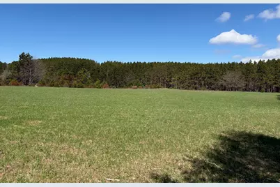 V/L Spruce Ridge Road #13, Bear Lake, MI 49614 - Photo 2