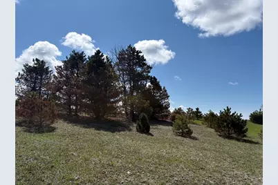 V/L Spruce Ridge Road #13, Bear Lake, MI 49614 - Photo 6
