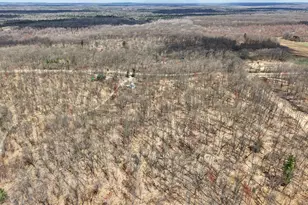 94 W Roosevelt Rd, Bitely, MI 49309 - Photo 22