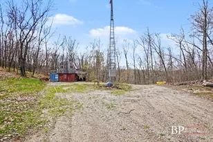 94 W Roosevelt Rd, Bitely, MI 49309 - Photo 16