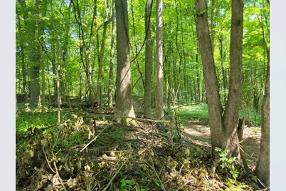 V/L Peterson Drive, Gobles, MI 49055 - Photo 1