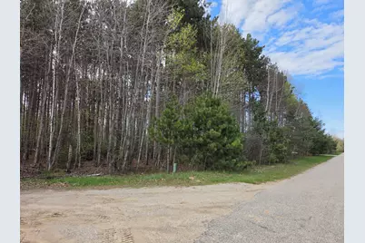 891 N White Birch Drive, Ludington, MI 49431 - Photo 78