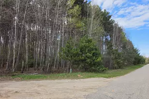 891 N White Birch Dr, Ludington, MI 49431 - Photo 78
