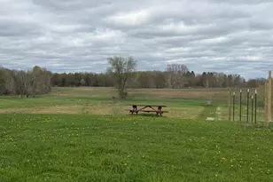 3344 E Hansen Rd, Custer, MI 49405 - Photo 54