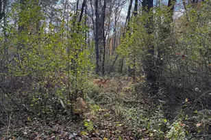 Holt, Holt, MI 48842 - Photo 1