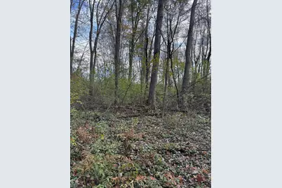 Holt, Holt, MI 48842 - Photo 2