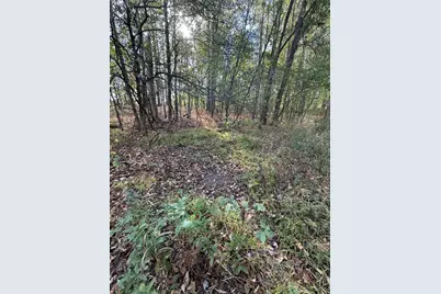 1400 Block Broceus School Road, Buchanan, MI 49107 - Photo 38