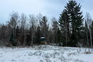 1570 Ryno Rd, Luzerne, MI 48636 - Photo 14