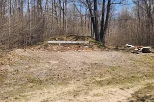 4650 Gambling Trail, Harrison, MI 48625 - Photo 28