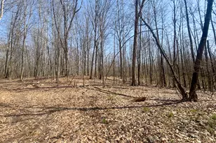7415 E Anthony Rd, Branch, MI 49402 - Photo 70