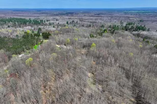 7415 E Anthony Rd, Branch, MI 49402 - Photo 46