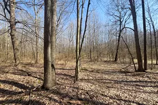 7415 E Anthony Rd, Branch, MI 49402 - Photo 72