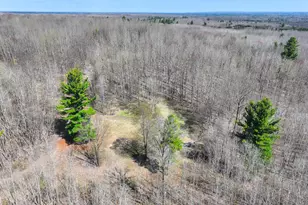 7415 E Anthony Rd, Branch, MI 49402 - Photo 62