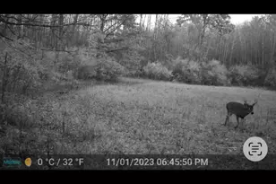 7415 E Anthony Rd, Branch, MI 49402 - Photo 92