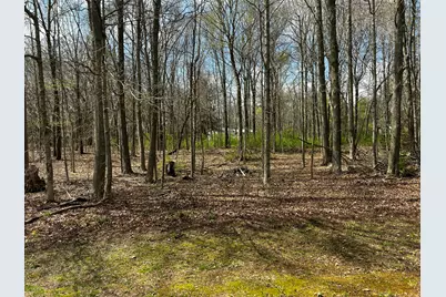 8768 Jerome Road N, Jerome, MI 49249 - Photo 14