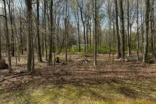 8768 Jerome Rd N, Jerome, MI 49249 - Photo 14