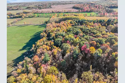 270 W Briggs Road, Stanton, MI 48888 - Photo 28