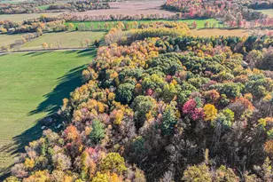 270 W Briggs Rd, Stanton, MI 48888 - Photo 28