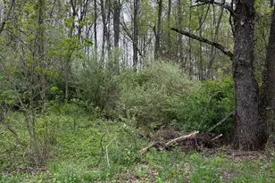 V/L W Quimby Rd, Hastings, MI 49058 - Photo 1