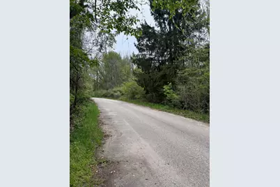 V/L W Quimby Road, Hastings, MI 49058 - Photo 4