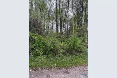 V/L W Quimby Road, Hastings, MI 49058 - Photo 2