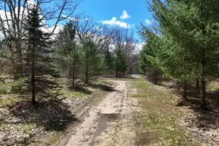 19543 Connelly Rd, Wellston, MI 49689 - Photo 62