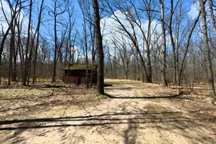 19543 Connelly Rd, Wellston, MI 49689 - Photo 48