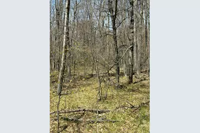 V/L Shadowbrook Drive, Lake, MI 48632 - Photo 2