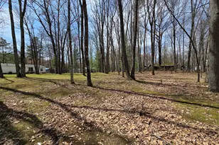 2612 W Southern Ave, Baldwin, MI 49304 - Photo 54