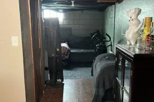 1519 Chestnut St, Wyandotte, MI 48192 - Photo 20
