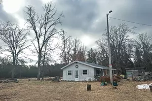 955 E 11 Mile Rd, Irons, MI 49644 - Photo 4