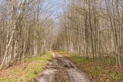 Love Road, Benzonia, MI 49616 - Photo 10