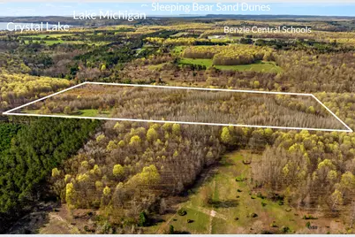 Love Road, Benzonia, MI 49616 - Photo 2