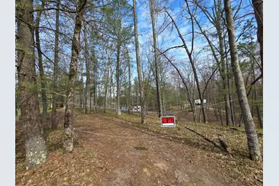 4735 N Alice Lake Drive, Irons, MI 49644 - Photo 28