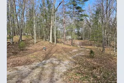 4735 N Alice Lake Drive, Irons, MI 49644 - Photo 18