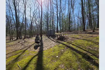 4735 N Alice Lake Drive, Irons, MI 49644 - Photo 22