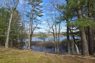 4735 N Alice Lk Dr, Irons, MI 49644 - Photo 1