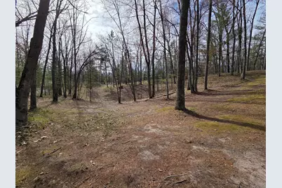 4735 N Alice Lake Drive, Irons, MI 49644 - Photo 4