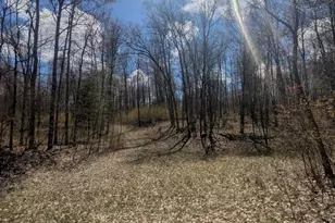 20179 N Coates Hwy, Brethren, MI 49619 - Photo 44