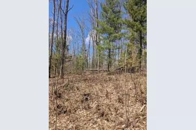 20179 N Coates Highway, Brethren, MI 49619 - Photo 42