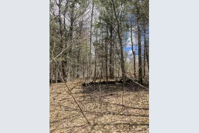 20179 N Coates Highway, Brethren, MI 49619 - Photo 54