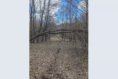 20179 N Coates Highway, Brethren, MI 49619 - Photo 50