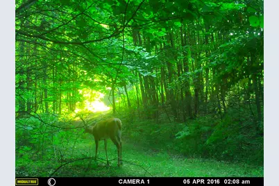 20179 N Coates Highway, Brethren, MI 49619 - Photo 8