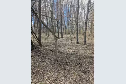 20179 N Coates Highway, Brethren, MI 49619 - Photo 24