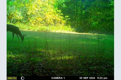20179 N Coates Highway, Brethren, MI 49619 - Photo 14