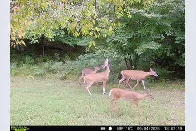 20179 N Coates Highway, Brethren, MI 49619 - Photo 12
